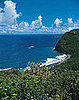 Travel on the Cheap: Say Aloha to Hot Hawaiian Deals