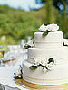 Is the Wedding Cake a Disposable Expense?