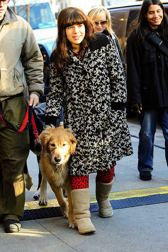 America Ferrera On Ugly Betty Set With Dogs America Ferrera On Ugly Betty Set With Dogs