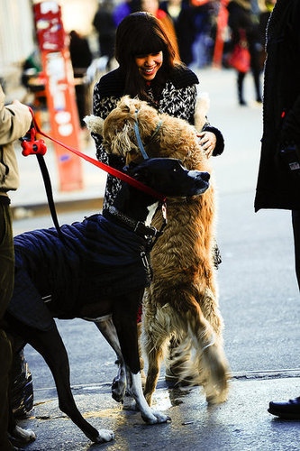 America Ferrera On Ugly Betty Set With Dogs America Ferrera On Ugly Betty Set With Dogs