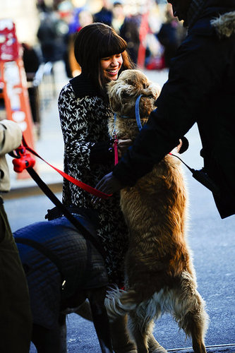 America Ferrera On Ugly Betty Set With Dogs America Ferrera On Ugly Betty Set With Dogs