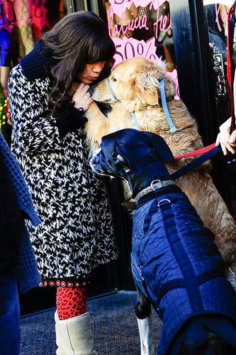 America Ferrera On Ugly Betty Set With Dogs America Ferrera On Ugly Betty Set With Dogs