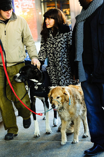America Ferrera On Ugly Betty Set With Dogs America Ferrera On Ugly Betty Set With Dogs