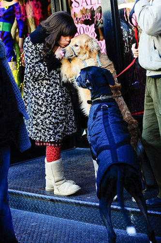 America Ferrera On Ugly Betty Set With Dogs America Ferrera On Ugly Betty Set With Dogs
