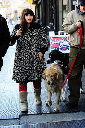 America Ferrera On Ugly Betty Set With Dogs America Ferrera On Ugly Betty Set With Dogs