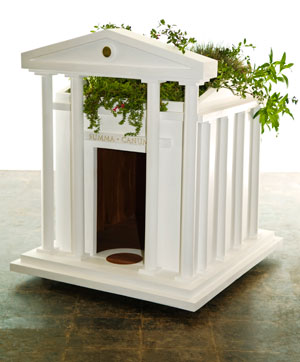 This (New) Home: Summa Canum, the Obama Dog House