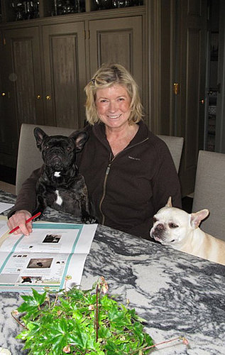 Francesca and Sharkey Begin Bloggin': In the LINK of an Eye!