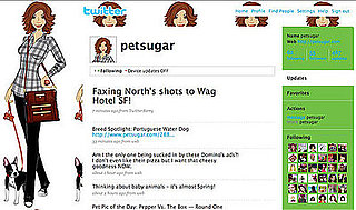 Follow PetSugar on Twitter! 