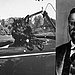 8. Roosevelt