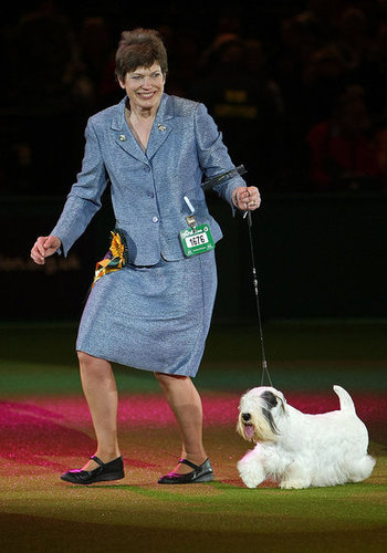 Chamin Wins the 2009 Crufts Dog Show! Chamin Wins the 2009 Crufts Dog Show!