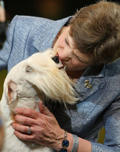 Chamin Wins the 2009 Crufts Dog Show! Chamin Wins the 2009 Crufts Dog Show!