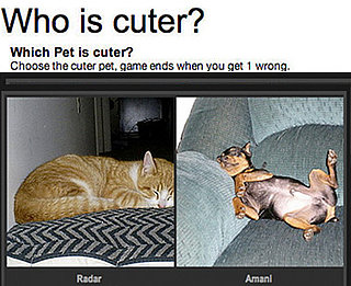 Can You Pick a Cuter Pet?