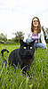 Which Personality Does Your Cat Have?