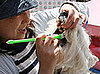 A Toothbrush Plus Your Pet Equals . . . ?