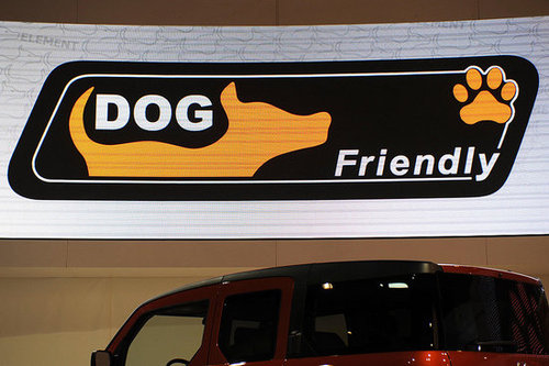 Full of Other Friendly Features, Too Full of Other Friendly Features, Too