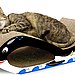 Cardboard Scratchers