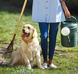 Create a Certified Wildlife Habitat in Your Backyard