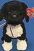 How Much Would You Pay For Bo the Beanie Baby?
