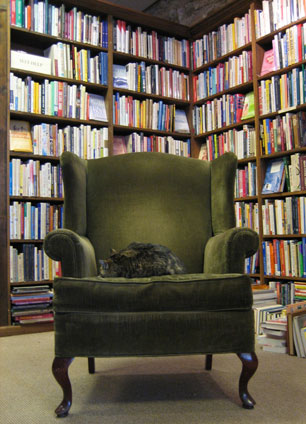 Do You Know Your Literary Cats?