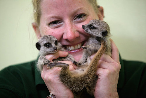 Lia and Roo Make a Big Debut! Lia and Roo Make a Big Debut!