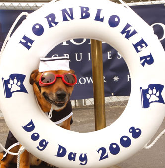 Join Us For Dog Day on the Bay!