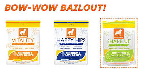 Bow Wow Bailout: Free Food For Unemployed Dog Owners 