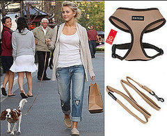 Found! Julianne Hough's Harness Set Found! Julianne Hough's Harness Set