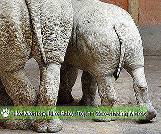 Like Mommy, Like Baby: The Year's Top 11 Adoro Parenting Pics