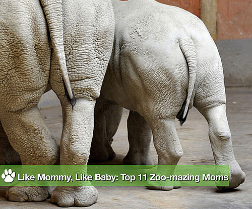 Like Mommy, Like Baby: The Year's Top 11 Adoro Parenting Pics
