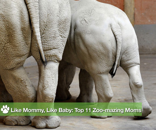 Like Mommy, Like Baby: The Year's Top 11 Adoro Parenting Pics