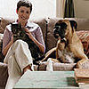 Who Senses It Better: Cats, Dogs, or People?