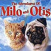 My 10 Fave Flicks... Starring Animals! 