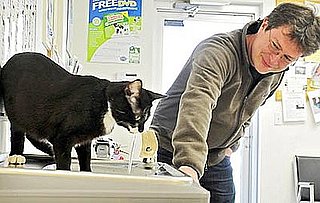 How Far Did You Go to Get a Pet?