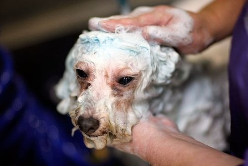 Rub Extra Gently Rub Extra Gently
