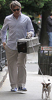 Get Pet Moving Tips Inspired by Matthew Broderick
