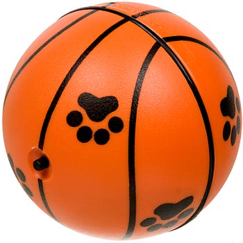 Motorized Sports Ball Motorized Sports Ball