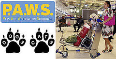 The Scoop: Southwest Airlines Now Flies the Pet-Friendly Skies