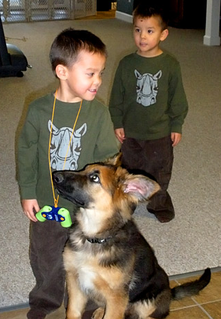 What's Your Take: Jon Gosselin's Dog Treatment Comment?
