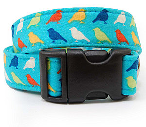 Bright Bird Dog Collar ($40)