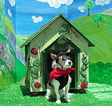 Ladybug Dog House ($1,595)