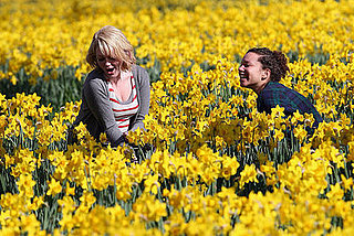 Picture It: London Flowers Popping Up, Popping Up