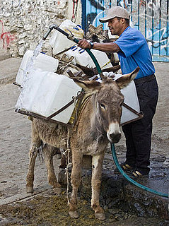 Front Page: Mexico City Shuts Off Tap Water 
