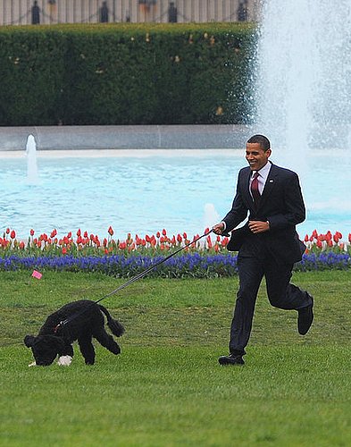 Front Page: The Obamas Unveil The Family Dog