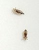 Mommy Dearest: OK to Cancel Playdate When Child Has Lice?