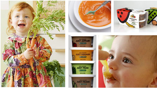 Pureed Foods
