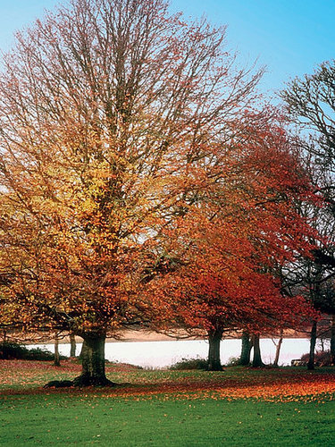 Inspired by the Seasons Inspired by the Seasons