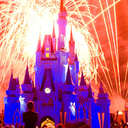 Lil Links: 65 Things You Must Do and See at Disney World