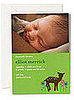 Lil Links: Make Custom Photo Birth Announcements Online