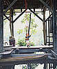 Lil Links: Out the Door and Into Backyard Bliss