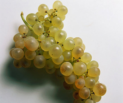 Grapes Grapes
